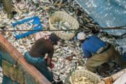 Le Gabon recherche des investisseurs dans la filière pêche et aquaculture à Bilbao