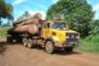 Le Cameroun veut augmenter de 2,5% la taxe à l’exportation du bois en grumes dès 2017