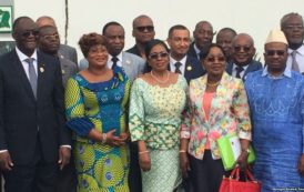 Le projet de “parti unifié” en Côte d’Ivoire pas “à l’ordre du jour” au PDCI