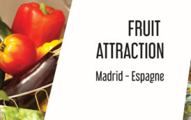 Fruit attraction Madrid (reportage en images)