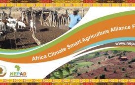 Une semaine pour le troisième forum de l’Alliance africaine pour une agriculture intelligente face au climat (CSA)