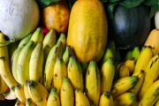 Le Togo, premier fournisseur africain de produits alimentaires bio de l’Europe