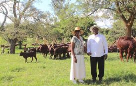 L’Ouganda attribue 27 milles carrés de terres à un investisseur émirien