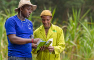 € 4 millions de NSIA à Doreo Partners pour former 50 000 agriculteurs au Nigéria