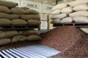 Les négociants ivoiriens, victimes collatérales de la faillite de Saf Cacao
