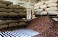 Les négociants ivoiriens, victimes collatérales de la faillite de Saf Cacao